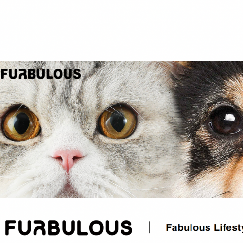 BDDWATCH 设计驱动型品牌观察| Furbulous Box,智能猫砂盆的创新颠覆
